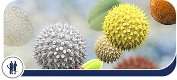 Osteoporosis Doctor Near Me in Edinburg TX Osteoporosis Doctor Near Me in Edinburg TX