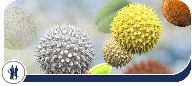 Osteoporosis Doctor Near Me in Edinburg TX Osteoporosis Doctor Near Me in Edinburg TX